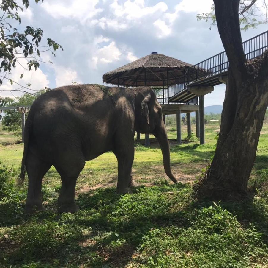 Elephant View Camp Ban Huai Thawai エクステリア 写真