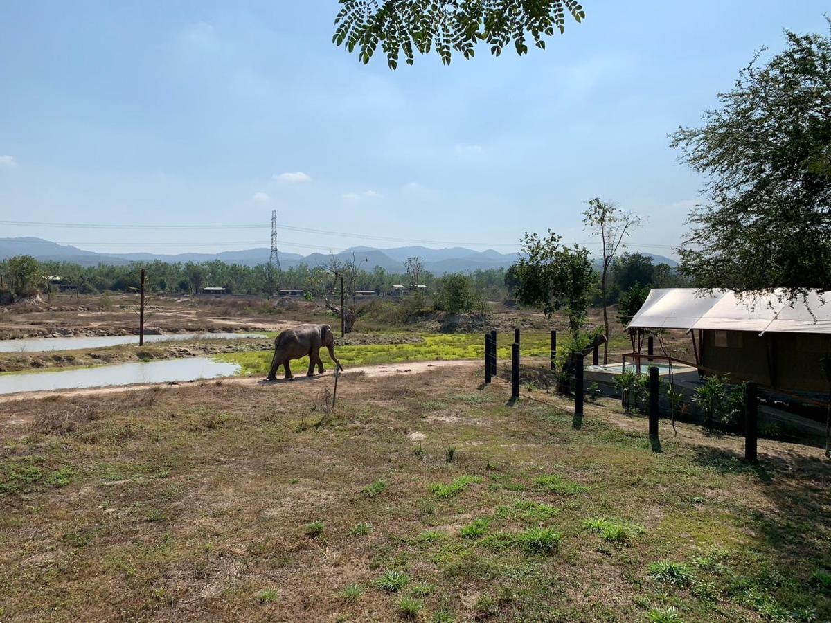 Elephant View Camp Ban Huai Thawai エクステリア 写真