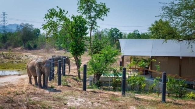 Elephant View Camp Ban Huai Thawai エクステリア 写真