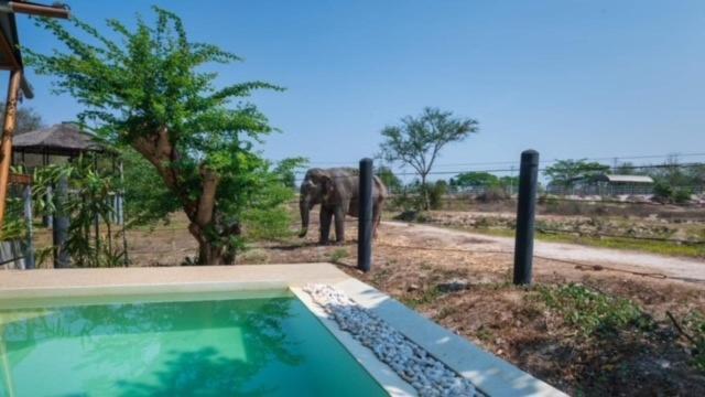 Elephant View Camp Ban Huai Thawai エクステリア 写真