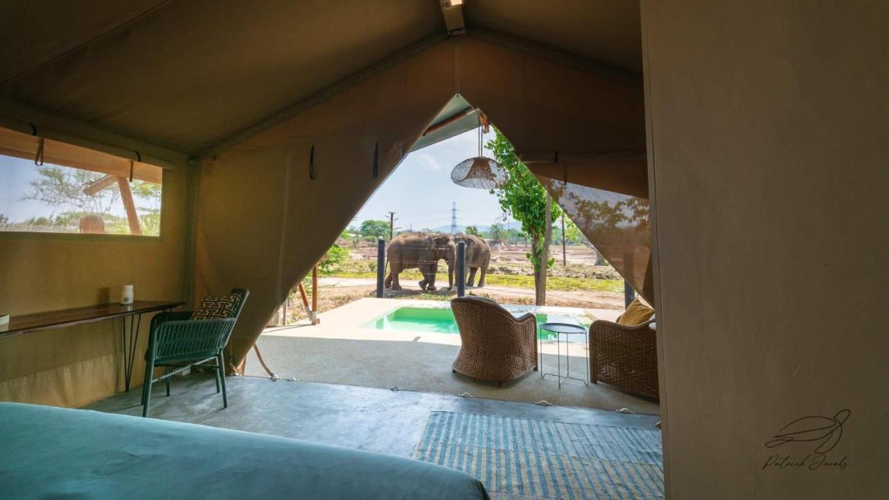 Elephant View Camp Ban Huai Thawai エクステリア 写真